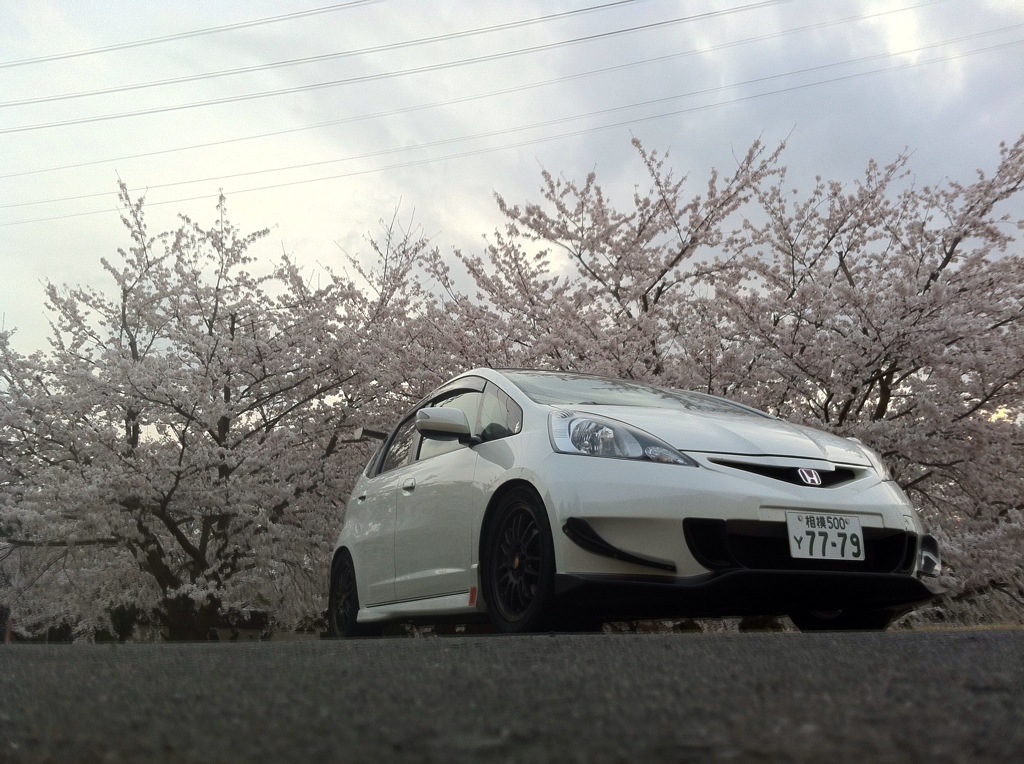 Name: 1f8a0150.jpg
Views: 271
Size: 345.8 KB