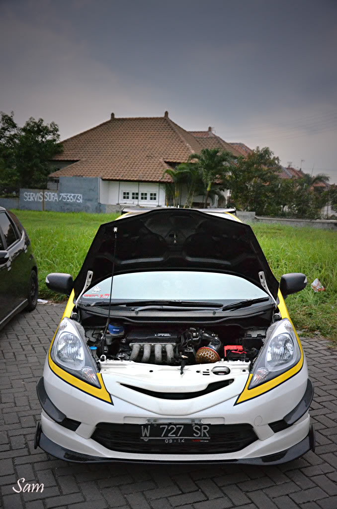 Name:  MyJs.jpg
Views: 146
Size:  138.3 KB