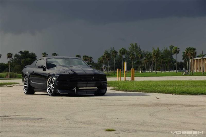 Name:  mystang2.jpg
Views: 44
Size:  40.7 KB