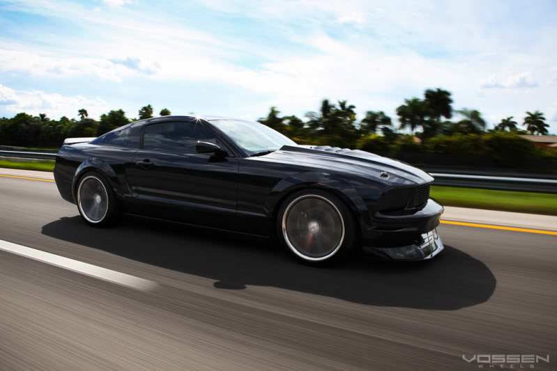 Name:  mystang-1.jpg
Views: 121
Size:  57.7 KB