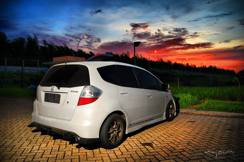 Name:  bosbijs_05.jpg
Views: 714
Size:  109.0 KB