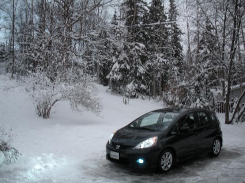 Name:  2010181-Copy.jpg
Views: 87
Size:  82.7 KB