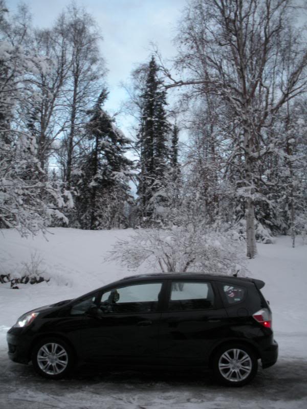 Name:  2010193-Copy.jpg
Views: 92
Size:  87.6 KB