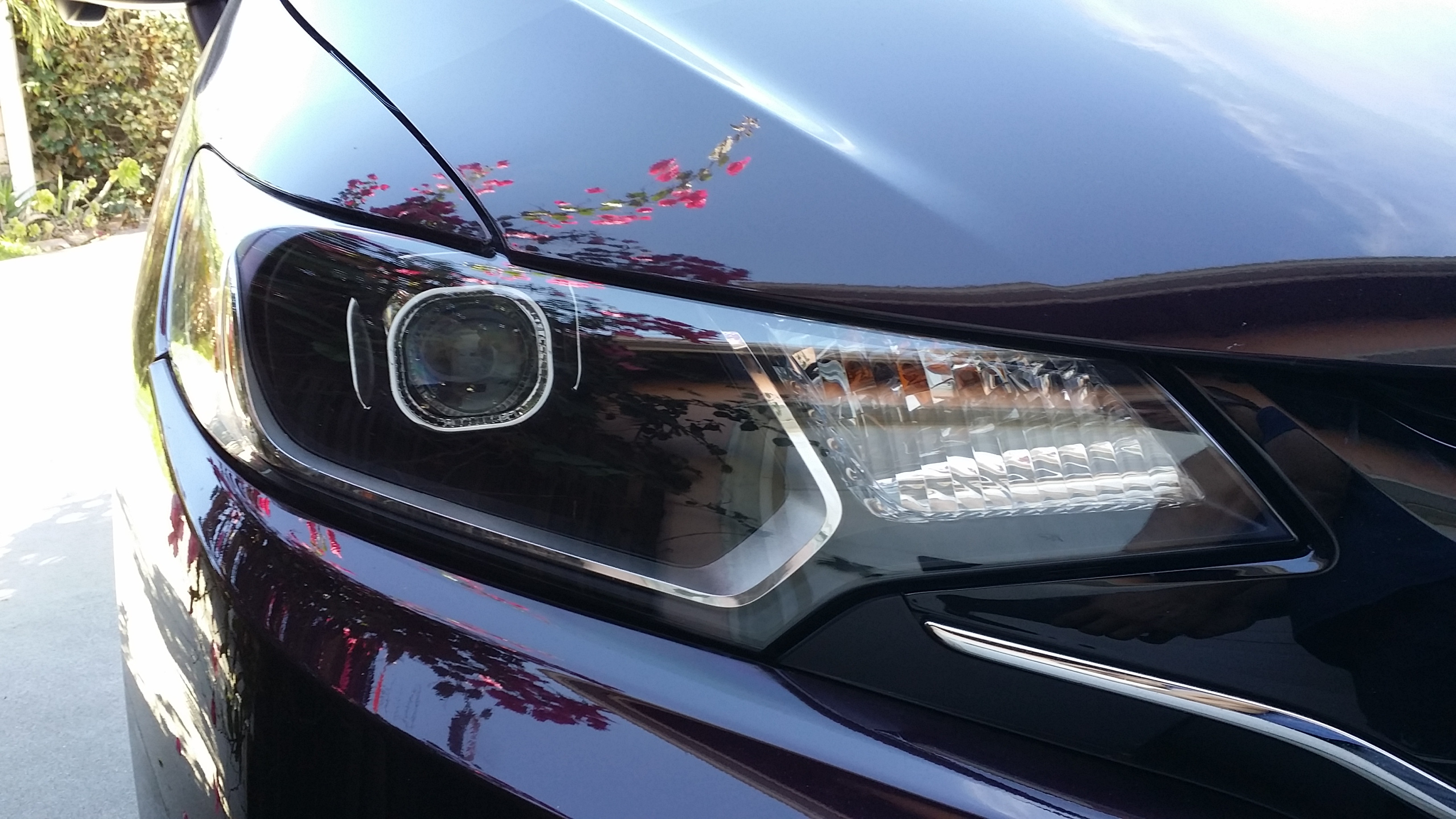 Name:  coyAuF6.jpg
Views: 293
Size:  1,018.9 KB