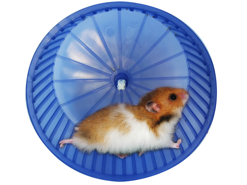 Name:  solid-wheel.jpg
Views: 672
Size:  150.8 KB