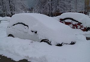 Fit in snow-img_0698.jpg