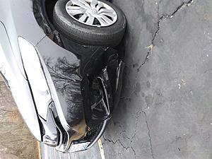 I hit a raccoon-coon2.jpg