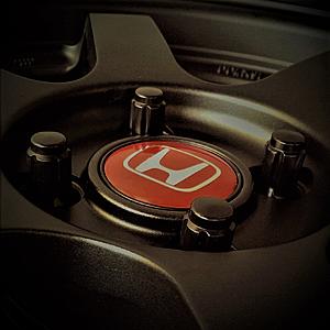 What did you do to your GK Fit today?-lugnuts.jpg