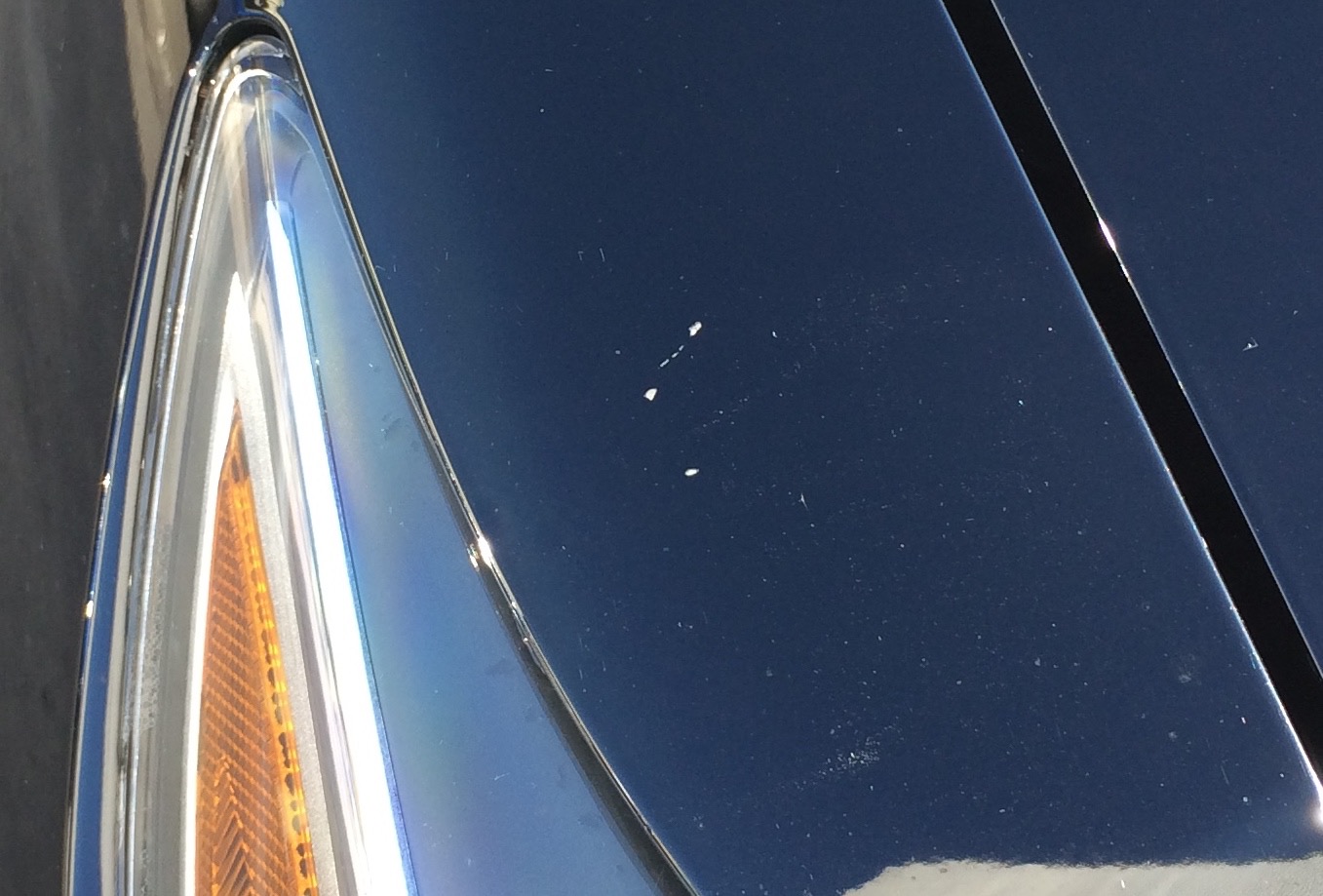 Name:  KL2jAJS.jpg
Views: 354
Size:  230.4 KB