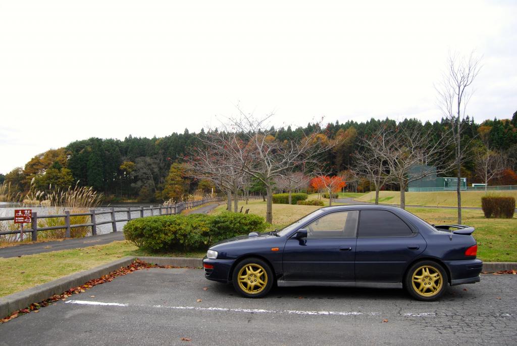 Name:  DSC_4668.jpg
Views: 128
Size:  101.6 KB