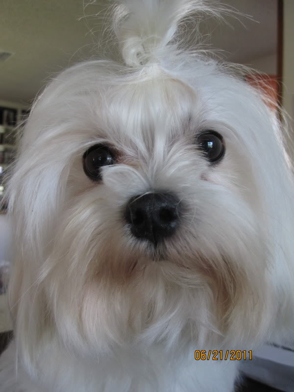 Name:  bf22a1ea.jpg
Views: 41
Size:  55.4 KB