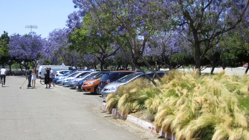 Name:  IMG_3438.jpg
Views: 140
Size:  89.3 KB