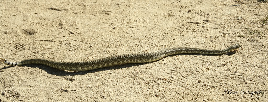 Name:  _MG_1724.jpg
Views: 56
Size:  196.5 KB