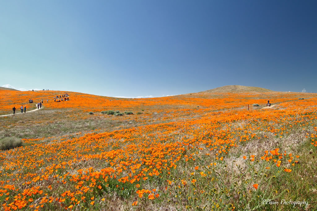 Name:  IMG_6538.jpg
Views: 25
Size:  229.4 KB