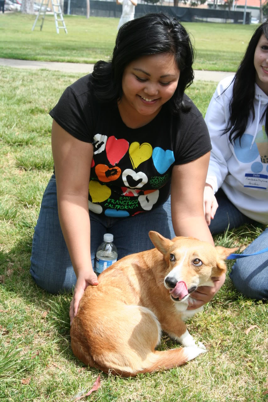 Name:  IMG_1568.jpg
Views: 47
Size:  280.8 KB