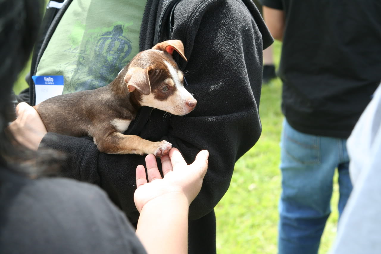 Name:  IMG_1588.jpg
Views: 36
Size:  153.6 KB