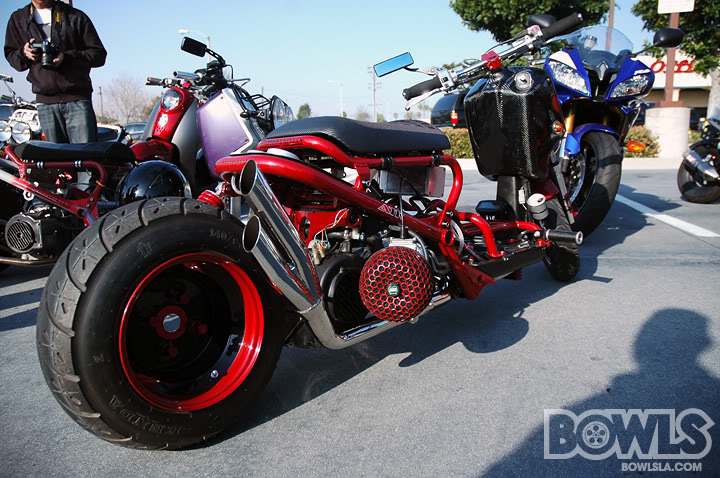 Name:  ss3809_0074.jpg
Views: 90
Size:  110.6 KB