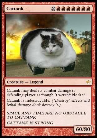 Name: cat-magic-card.jpg
Views: 38
Size: 34.1 KB