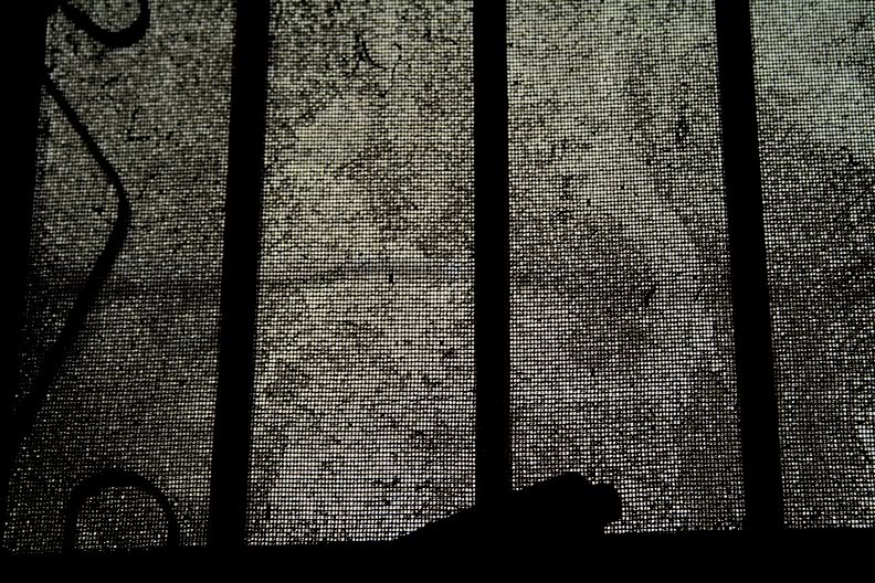 Name:  IMG_5763.jpg
Views: 36
Size:  151.4 KB