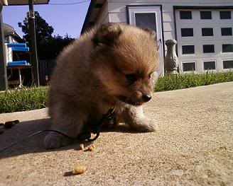 Name:  fitfreak.jpg
Views: 31
Size:  21.6 KB