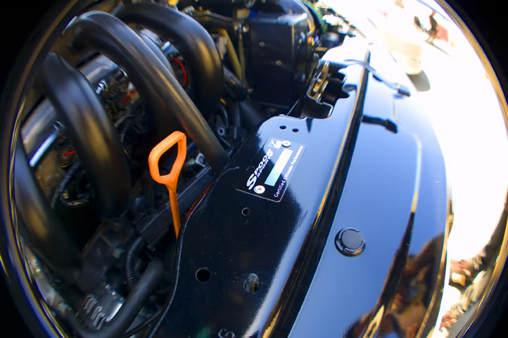 Name:  DSC_0014.jpg
Views: 62
Size:  61.3 KB