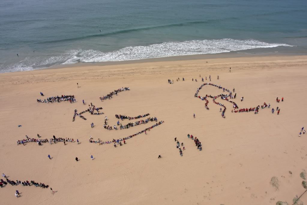 Name:  stage2.jpg
Views: 74
Size:  89.9 KB