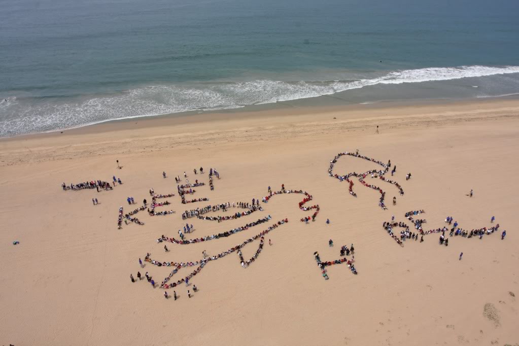 Name:  stage3.jpg
Views: 72
Size:  87.6 KB