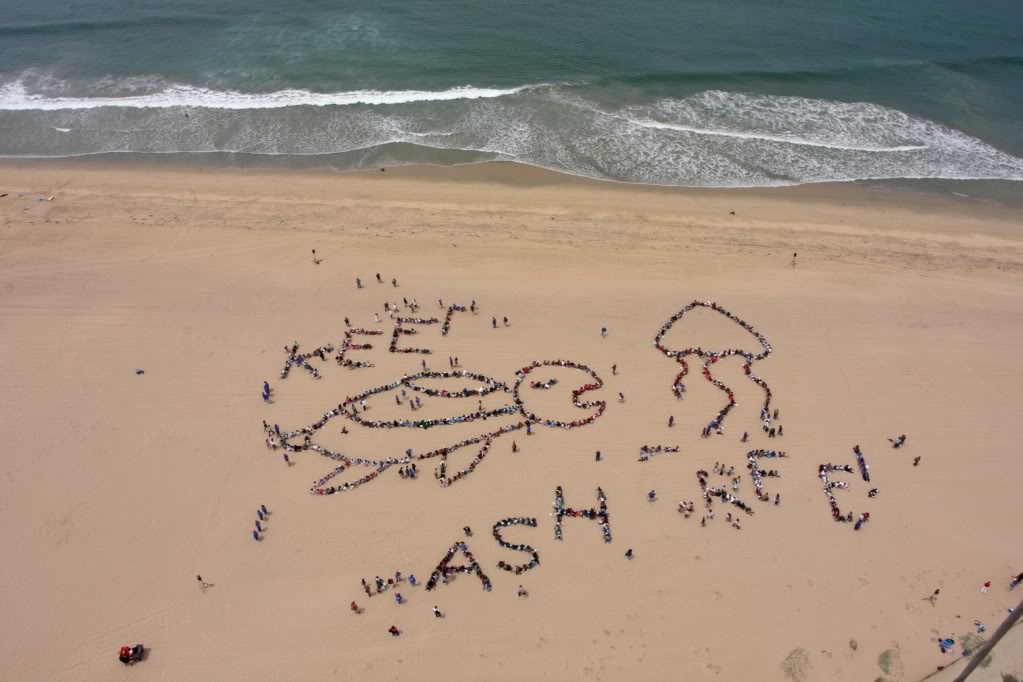 Name:  stage4.jpg
Views: 72
Size:  93.6 KB