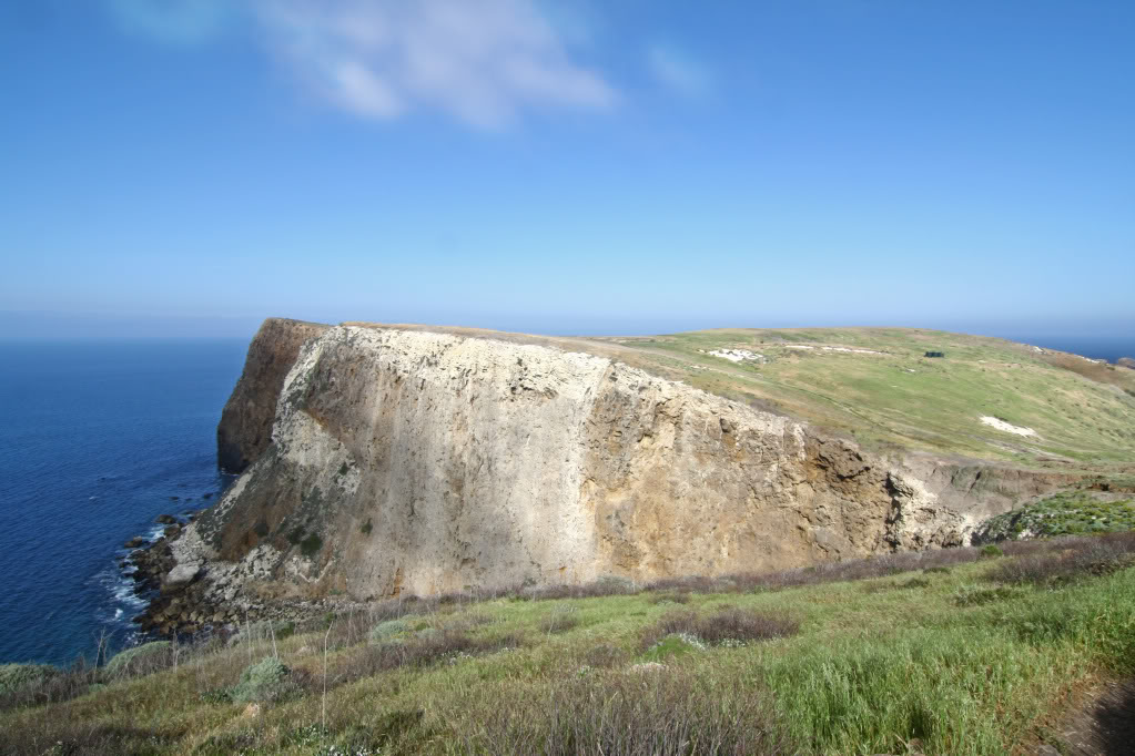 Name:  IMG_7576.jpg
Views: 24
Size:  145.4 KB