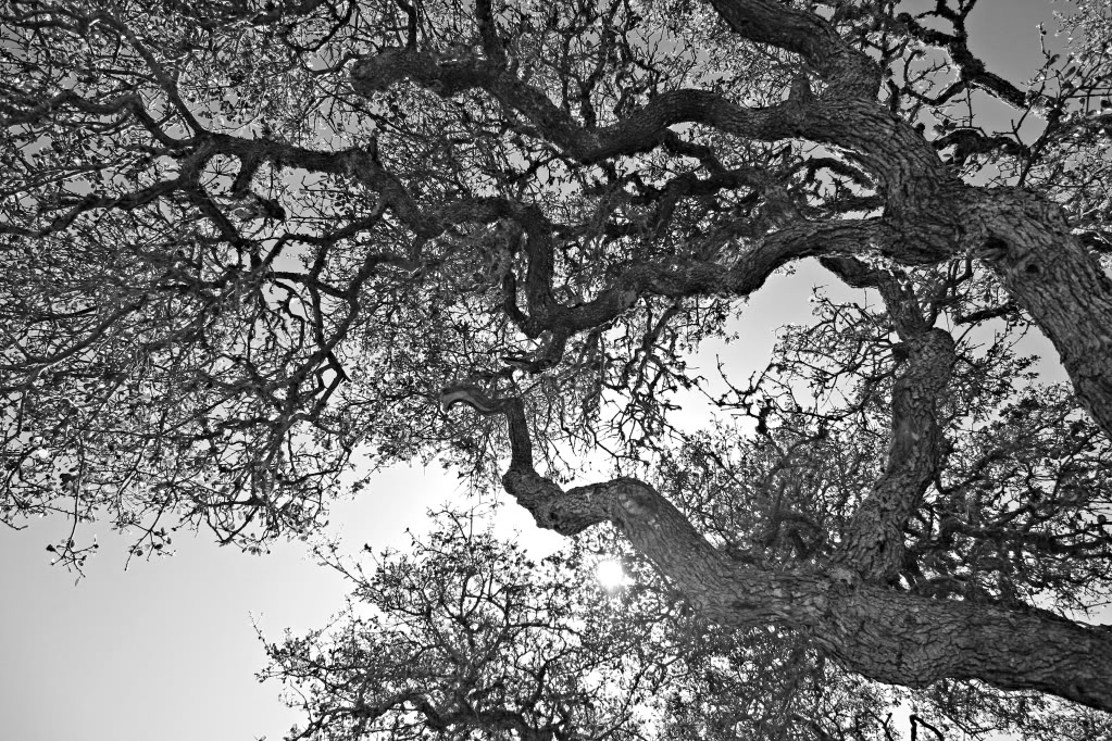 Name:  IMG_7082.jpg
Views: 17
Size:  329.7 KB