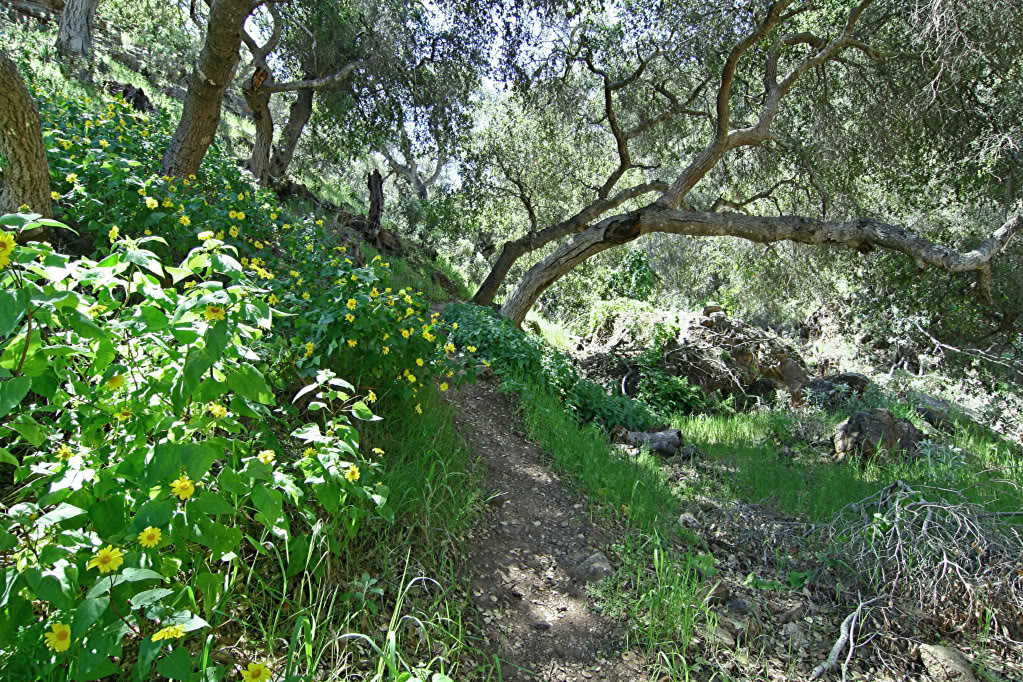 Name:  IMG_7144.jpg
Views: 23
Size:  380.6 KB