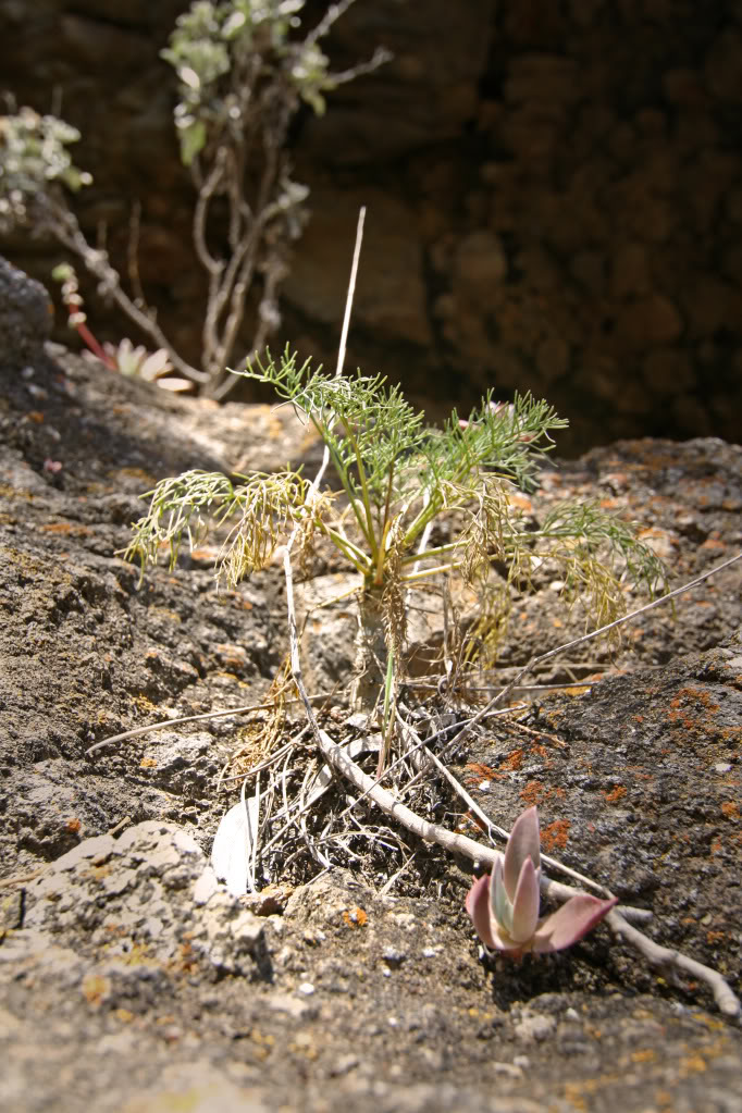 Name:  IMG_7167.jpg
Views: 29
Size:  192.9 KB