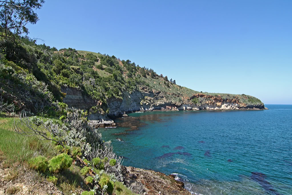 Name:  IMG_7181.jpg
Views: 23
Size:  204.1 KB