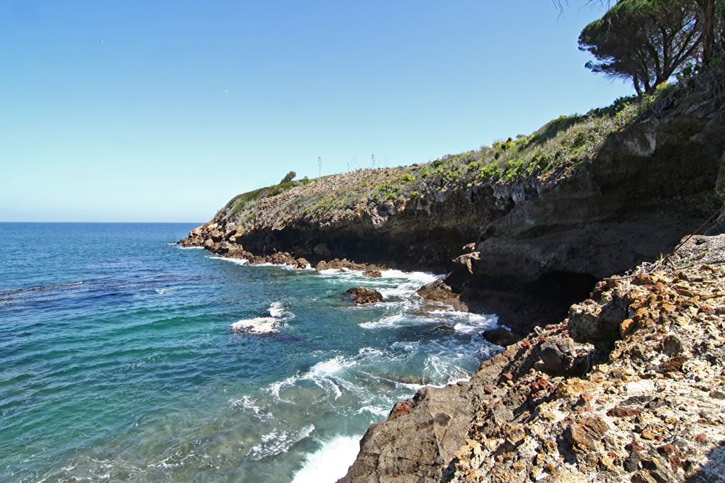 Name:  IMG_7195.jpg
Views: 27
Size:  203.8 KB