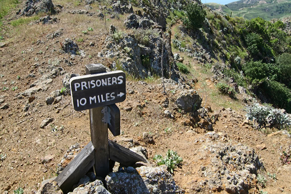 Name:  IMG_7289.jpg
Views: 25
Size:  312.1 KB