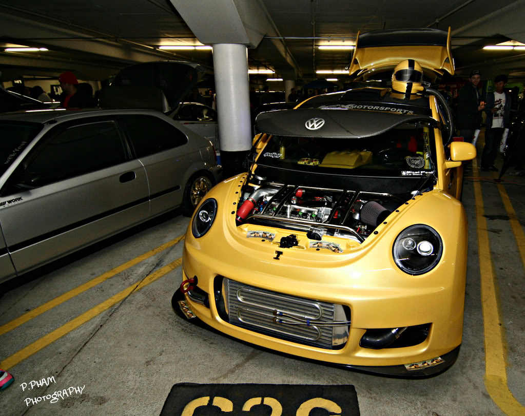 Name:  IMG_6465.jpg
Views: 40
Size:  171.8 KB