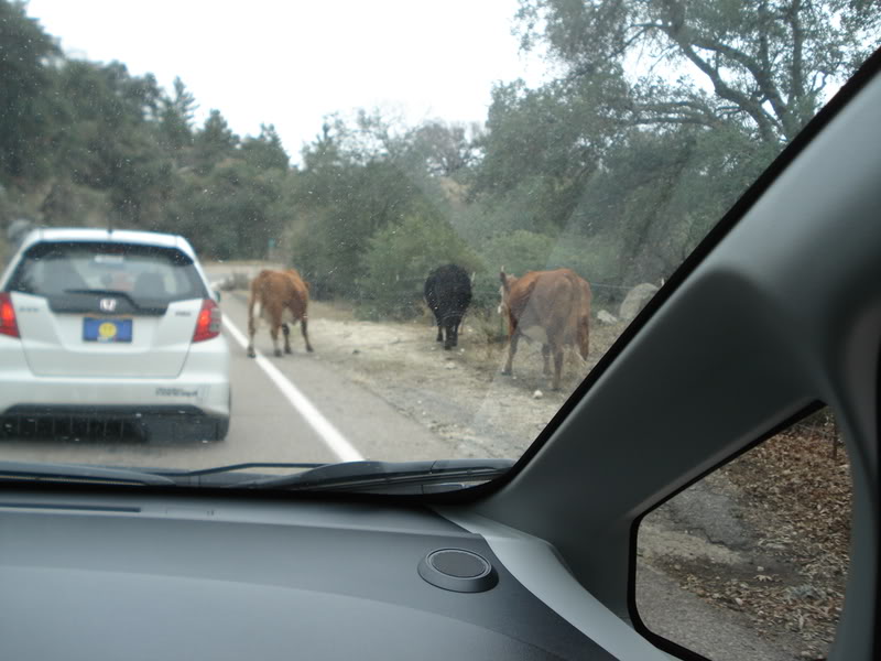 Name:  DSC02813.jpg
Views: 41
Size:  69.5 KB