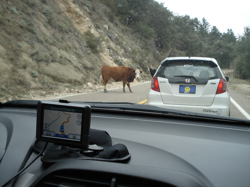 Name:  DSC02811.jpg
Views: 43
Size:  70.1 KB