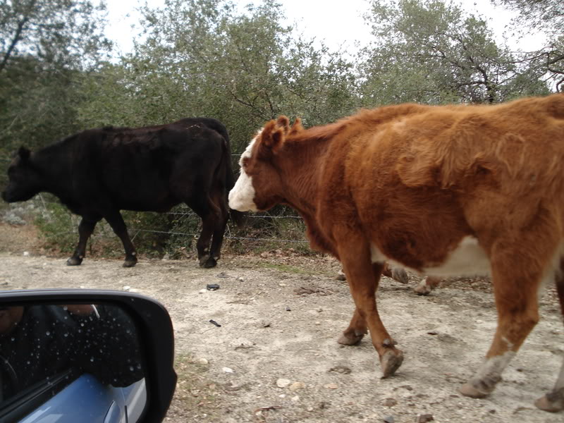 Name:  DSC02814.jpg
Views: 35
Size:  117.2 KB