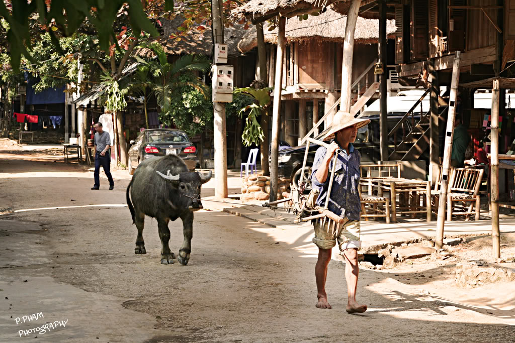 Name:  IMG_4148.jpg
Views: 37
Size:  238.9 KB