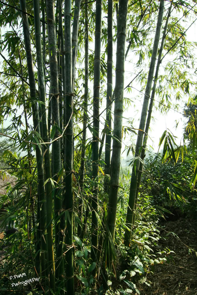 Name:  IMG_4072.jpg
Views: 38
Size:  276.9 KB