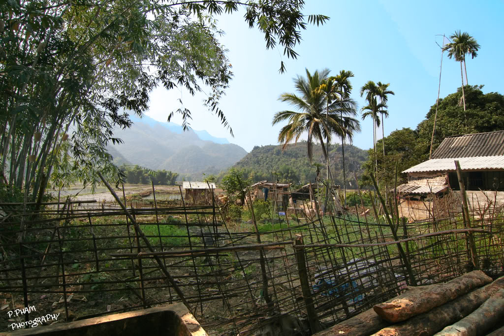 Name:  IMG_4094.jpg
Views: 30
Size:  246.6 KB