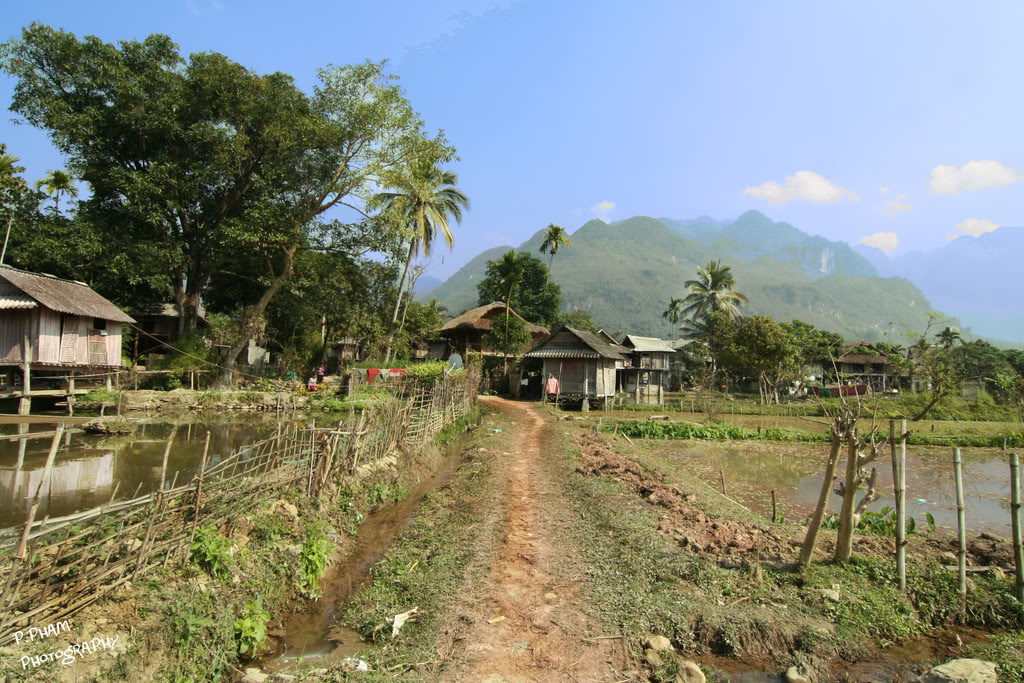 Name:  IMG_4095.jpg
Views: 42
Size:  222.9 KB