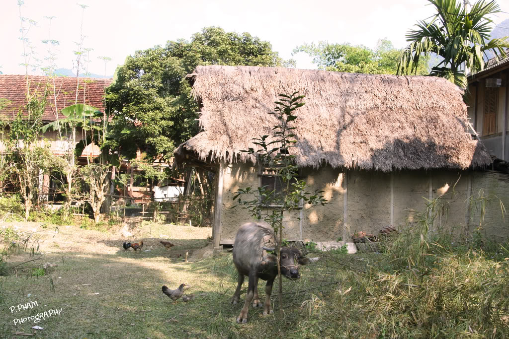 Name:  IMG_4130.jpg
Views: 37
Size:  270.8 KB