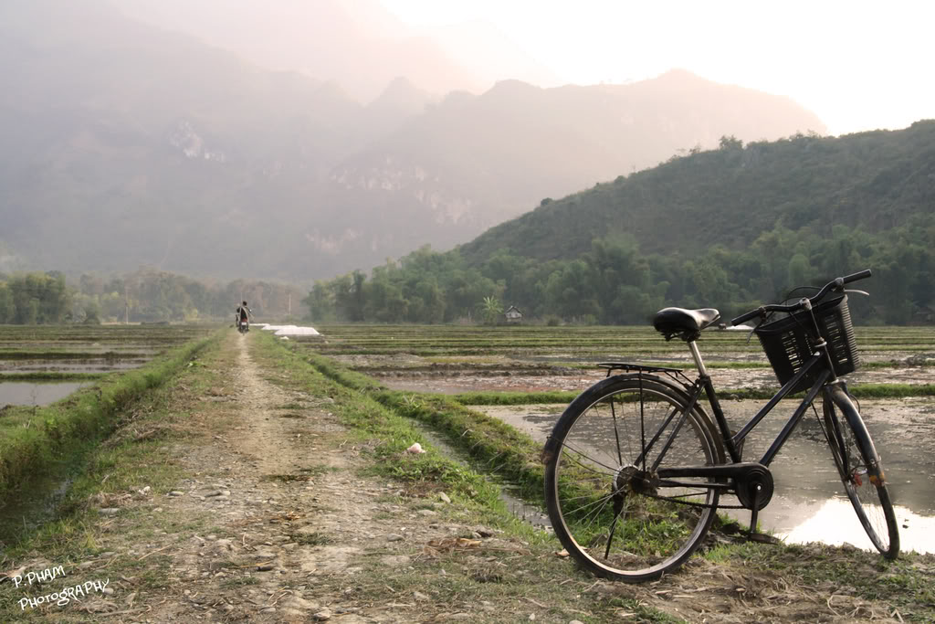 Name:  IMG_4249.jpg
Views: 49
Size:  150.4 KB