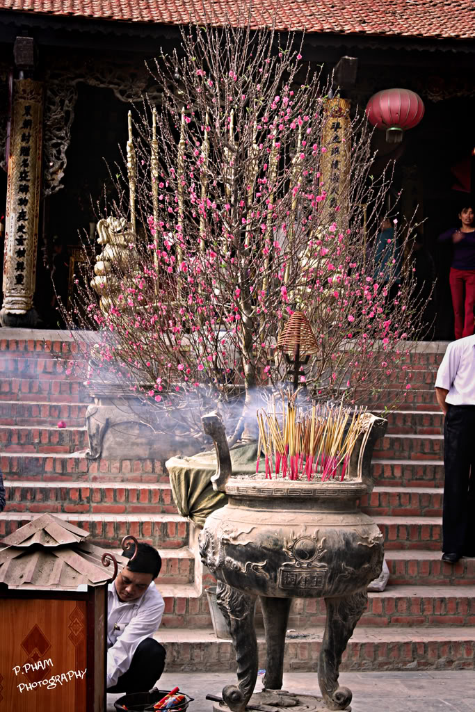 Name:  IMG_5128.jpg
Views: 31
Size:  260.0 KB