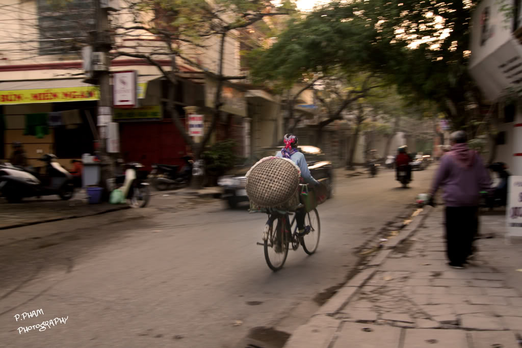 Name:  _MG_4326.jpg
Views: 38
Size:  110.2 KB