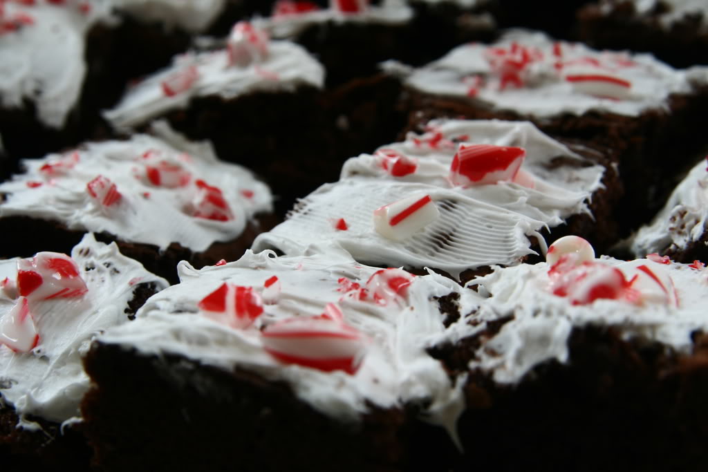 Name:  IMG_2932.jpg
Views: 45
Size:  83.2 KB