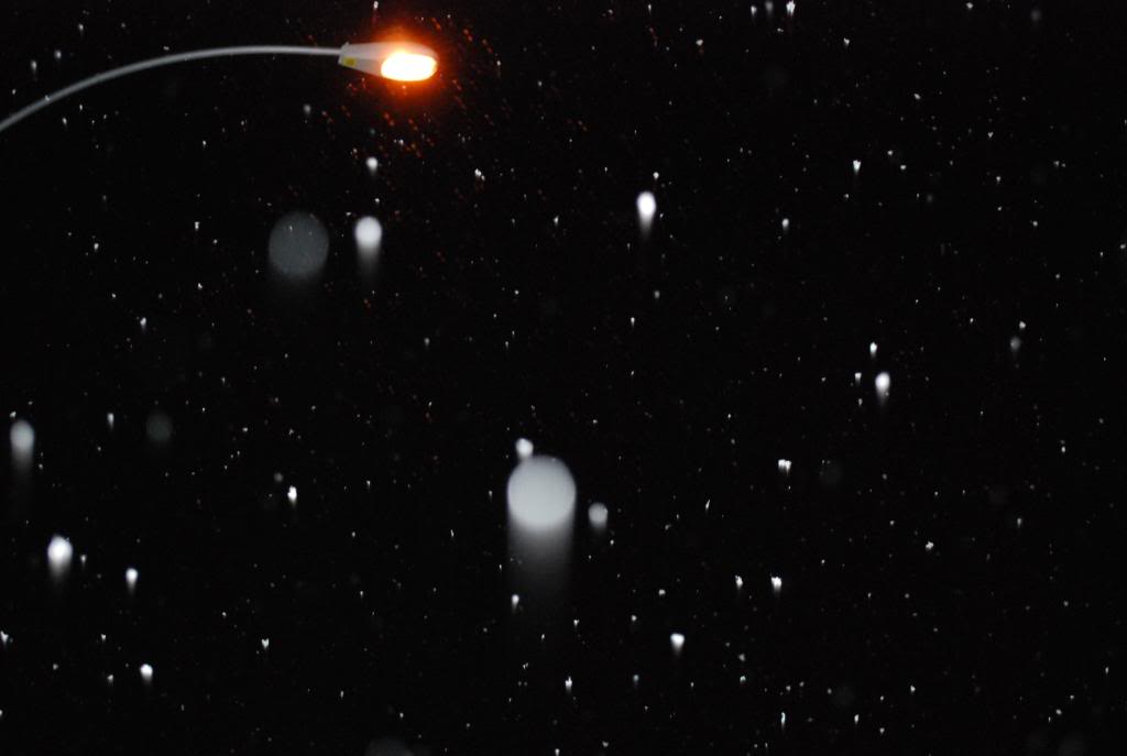 Name:  DSC_0360.jpg
Views: 40
Size:  30.0 KB