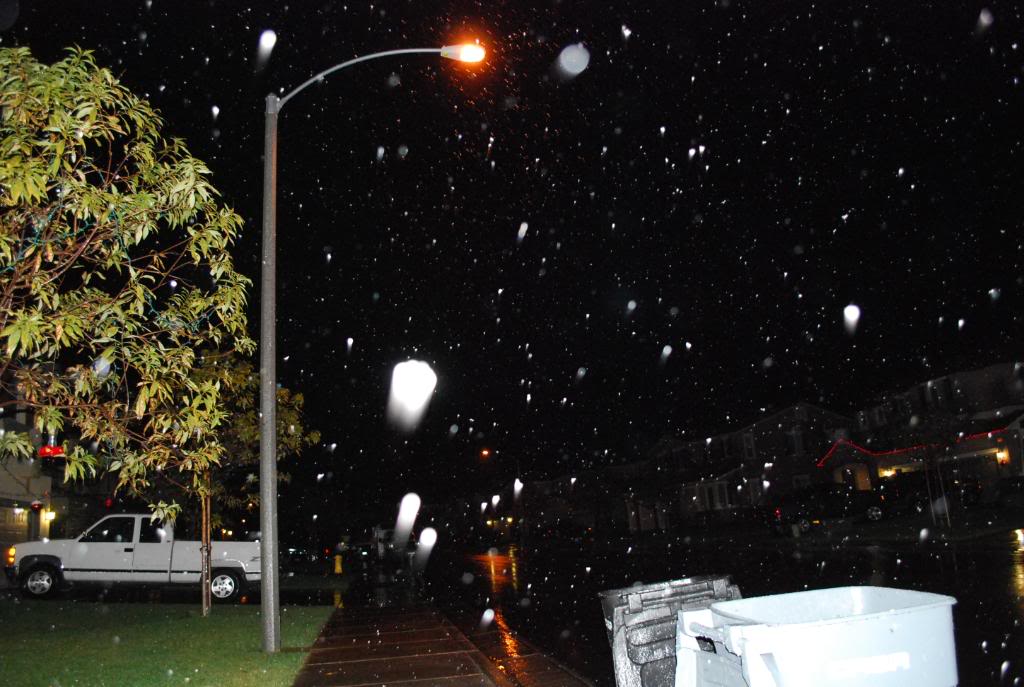 Name:  DSC_0362.jpg
Views: 36
Size:  103.3 KB